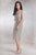 Flapper Gatsby Dress in Silver - The Formal Affair 