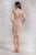 Brigitte Lace Dress in Beige - The Formal Affair 