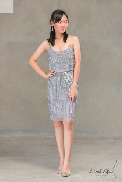 Short Angela Dress in Silver - The Formal Affair 