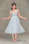 Short Maxi Ballet Dress in Blue - The Formal Affair 